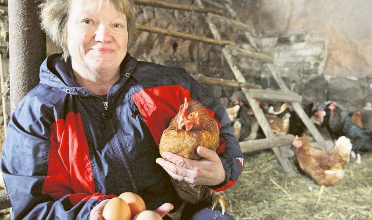 Irja Saarkivi poputab  oma kanu kartuli-jahupudru ja söögilaualt üle jäävaga.
