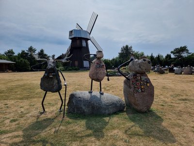 Kokku on Mardi talus üle kahesaja kivist lamba.