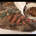 Arheoloogide lõbu: 1100 aasta vanune muumia, "Adidase tossud" jalas