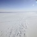 Teadlased avastasid Antarktika jääalusest järvest elusaid baktereid