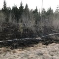 FOTOD: Raplamaal põles pool hektarit metsaalust, kannatada sai ka männinoorendik