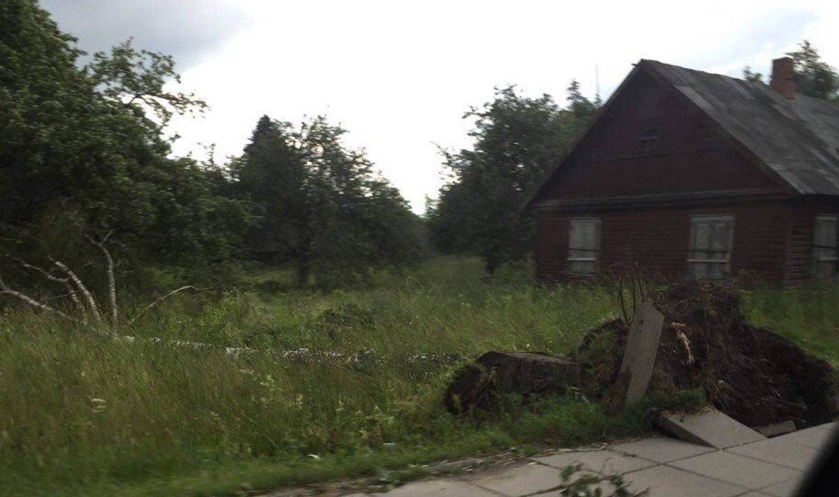 Torm murdis puid Leedus