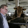 Euroopa kohtutes solgutatud Tartumaa toidutootja mõisteti õigeks ja küsib 0,5 miljonit eurot riigilt tagasi 