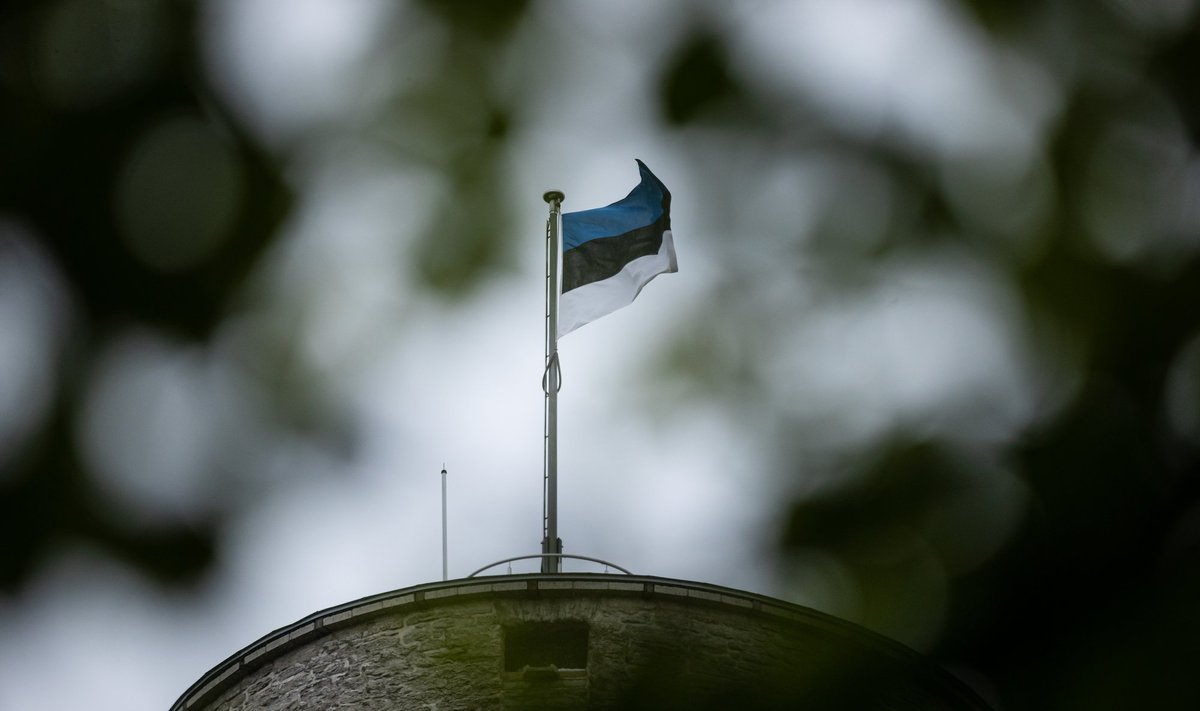 Флаг Эстонии на башне Длинный Герман.