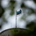 Эстония уже 20 лет член ЕС: 84% жителей страны поддерживают членство в Европейском Союзе