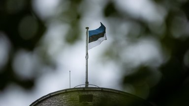 Эстония уже 20 лет член ЕС: 84% жителей страны поддерживают членство в Европейском Союзе