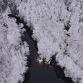 AEROFOTOD: Põhja-Kõrvemaa looduskaitseala sai selga uhke talverüü
