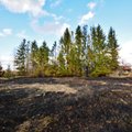 DELFI FOTOD JA VIDEO: Lõkkest alguse saanud kulupõleng süütas põlema taluhoovi hekipuud
