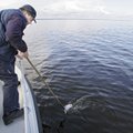 Peipsi järvel toimuvad järjekordsed nakkevõrkude koristustalgud