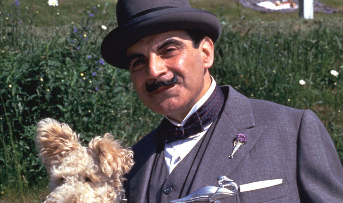 Hercule Poirot kasutab oma halle ajurakke 33 Christie romaanis, ühes näidendis ja rohkem kui 50 lühijutus.