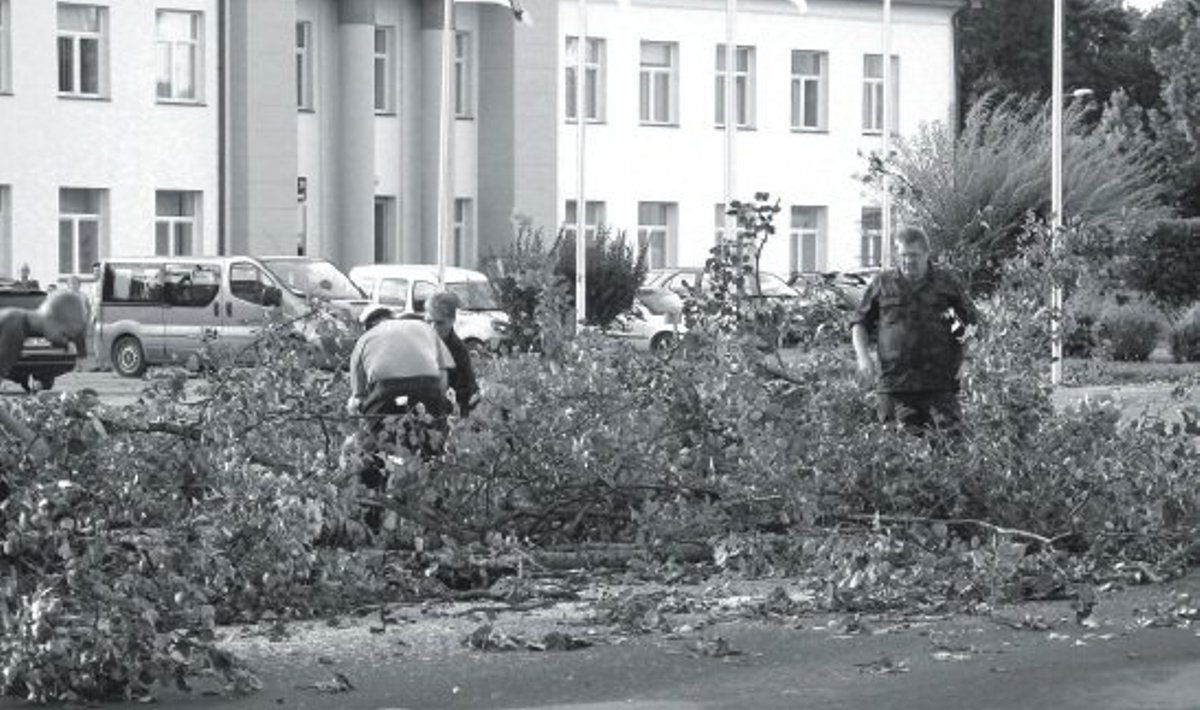 Viru maleva kaitseliitlased eesotsas kapten Rudolf Jeeseriga keskväljakult murdunud puid eemaldamas