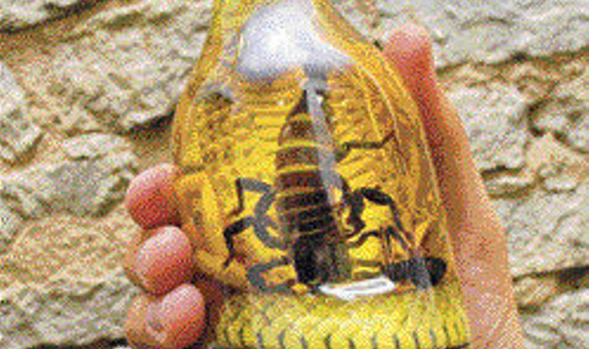 Kesvamärjuke ürtide ja kobraga, kel hammaste vahel skorpion.