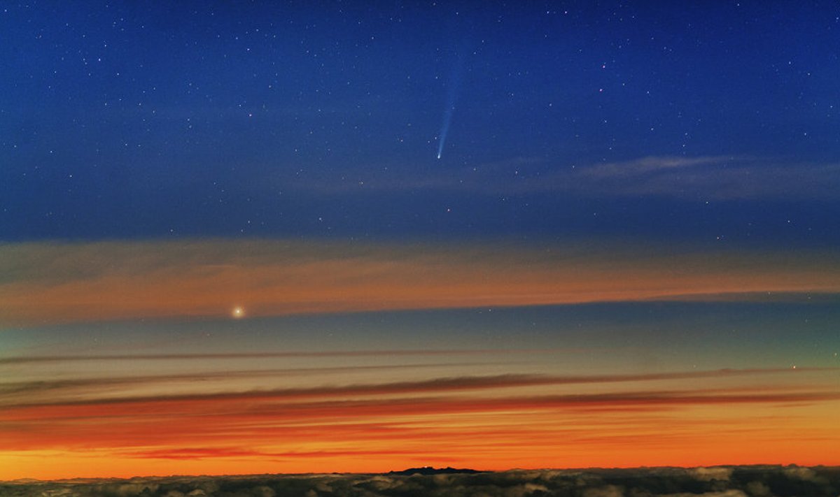 Komeet ISON 21. novembril 2013. Foto on tehtud Tenerifel asuvas Teide observatooriumis. Foto: Juan Carlos Casado/ iac.es