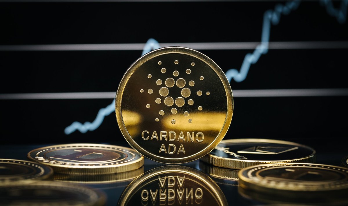 Cardano