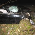ФОТО: ДТП со смертельным исходом в Лауласмаа — автомобиль вылетел с трассы и въехал в дерево