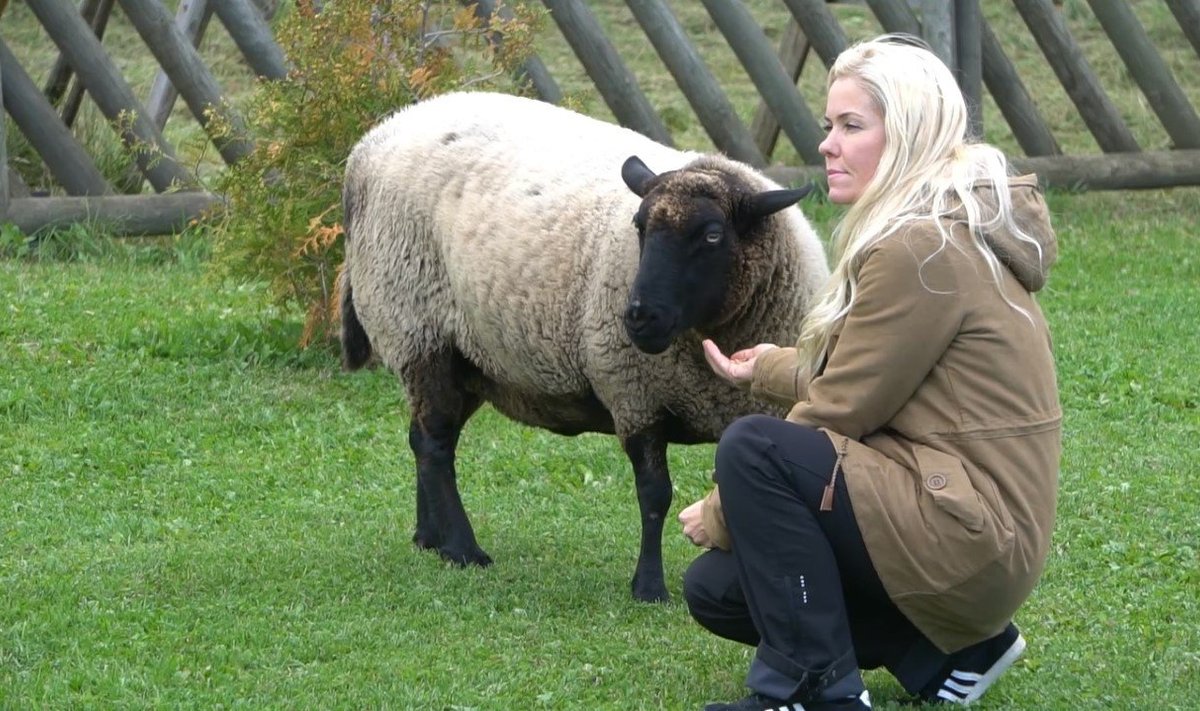 Laura Lind ja lammas Mäku