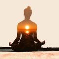 Eckhart Tolle: kui lased egol kahaneda 