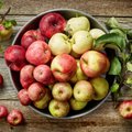 Maiustada saab ka Eestis kasvanud tervislikke magusaid õunu süües