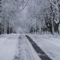 Мороз, туман и гололед! Транспортный департамент призывает водителей быть предельно осторожными на дорогах
