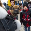 Perearst Elle-Mall Sadrak: paljudele Eesti lastele on vaimne abi kättesaamatu. Ukraina põgenikel on veel raskem...