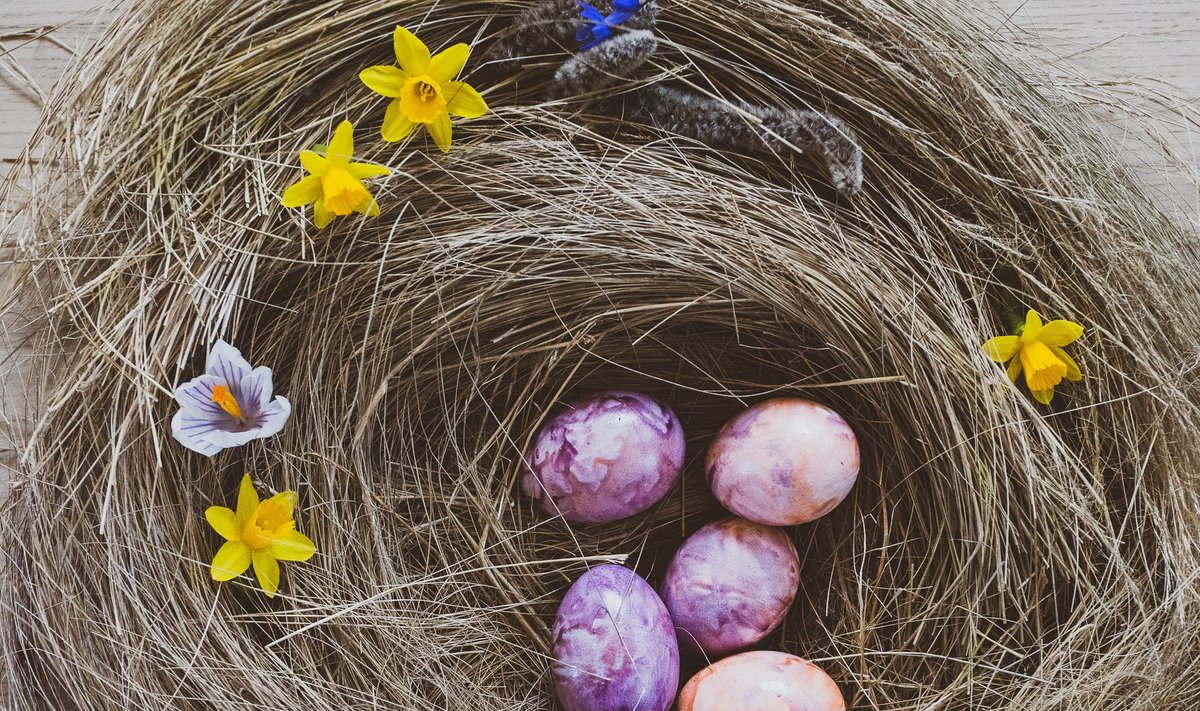 Munadepühade värvilised munad