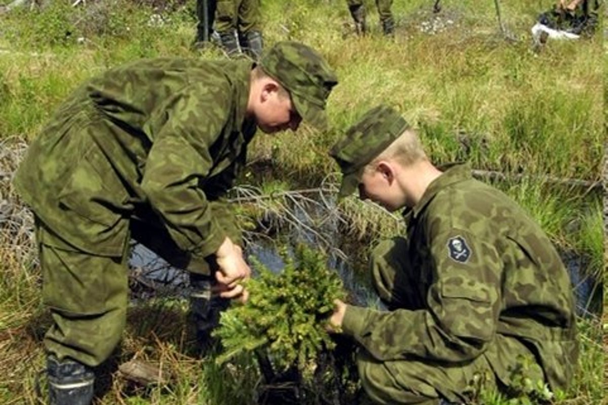 Kirde Kaitseringkonna kaitseväelased tulevad Rakvere linnametsa koristama