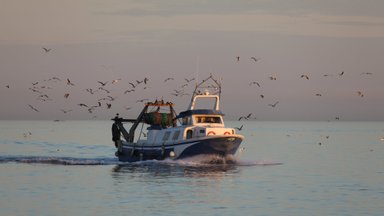Euroopas esimene: Kreeka keelab merekaitsealadel loodust kahjustava kalapüügivõtte kasutamise