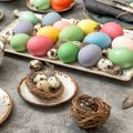 RETSEPT | Proovi midagi uut: marineeritud värvilised munad