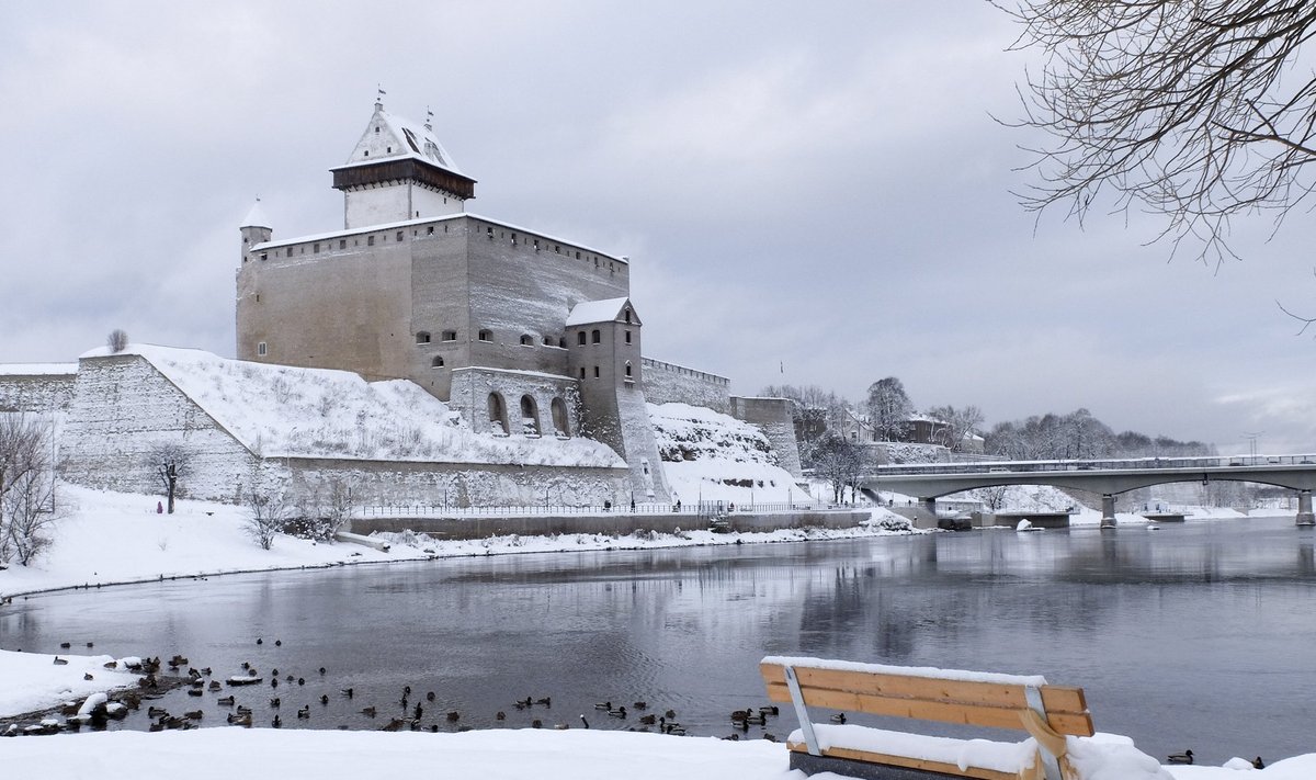 Lumi Narvas