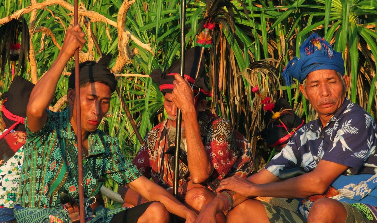 Mehed Pasola festivalil tähistamas riisikasvatushooaja algust. 
