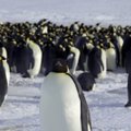 Kuidas sai Antarktisest paksu jääkilbi alla maetud manner? Teadlased on jõudnud vastuseni