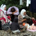 Турция использует миграционный кризис в своих целях?