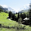 Šveitsis tehakse mägedes siiani käsitsi heina