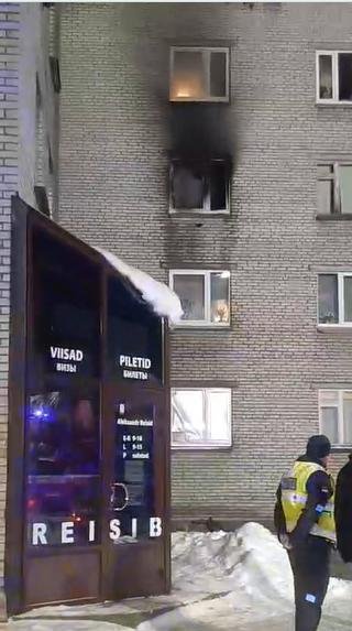 Пожар в Силламяэ, фото - снимок экрана трансляции в TikTok пользователя Gogi Chiboshvili