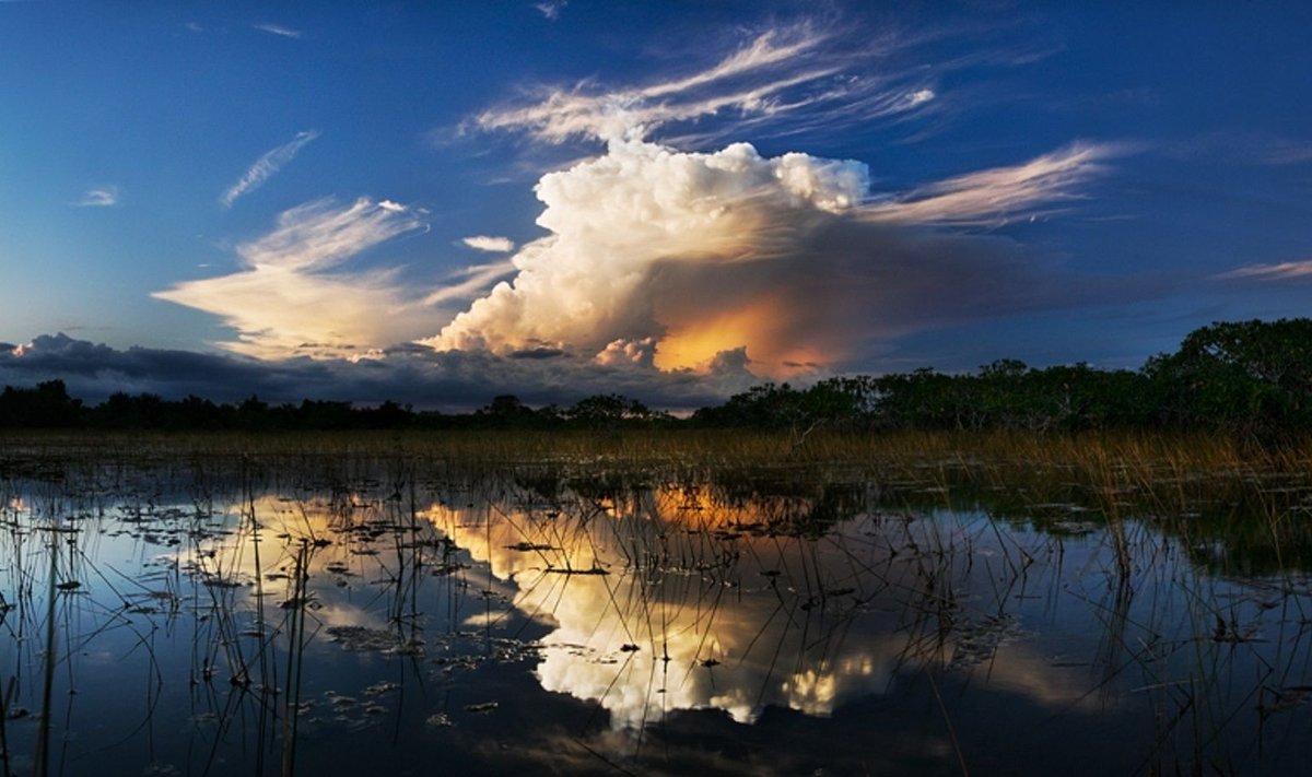 Tormipilved Evergladesi rahvuspargis