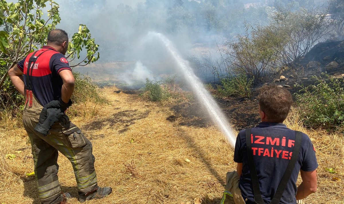 Turkey Wildfires 2024: Izmir Forest Fire