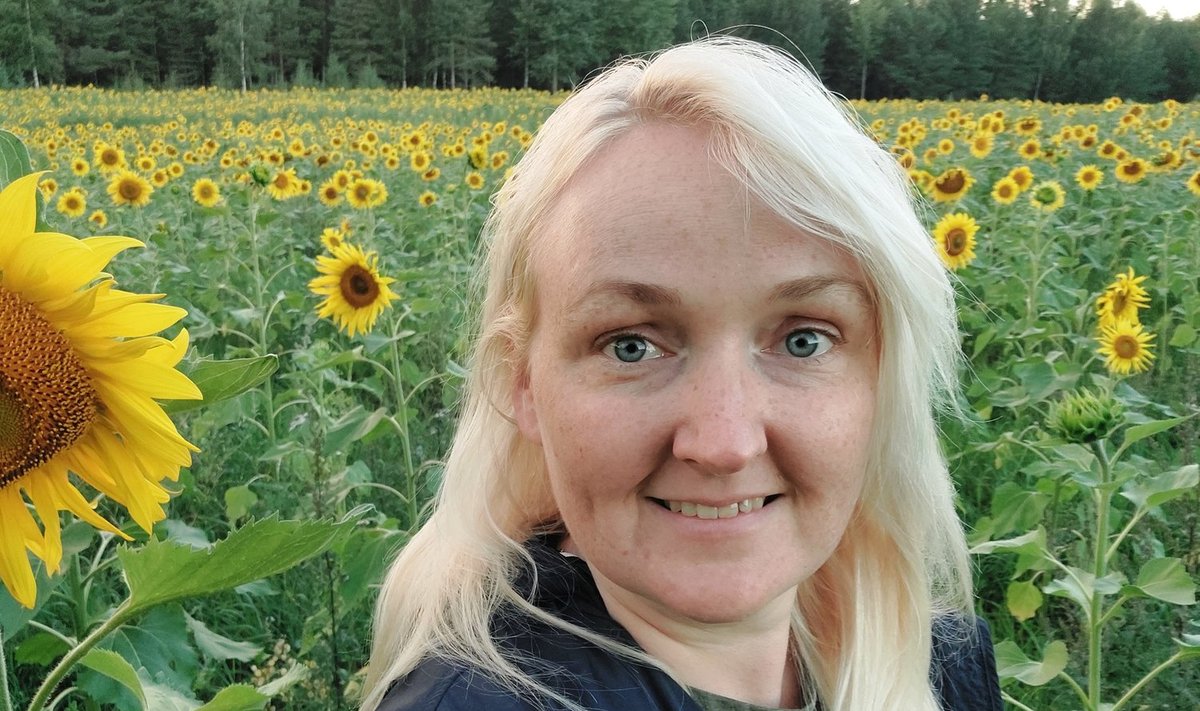 Mariin kuldkollaste päevalilledega põllul.