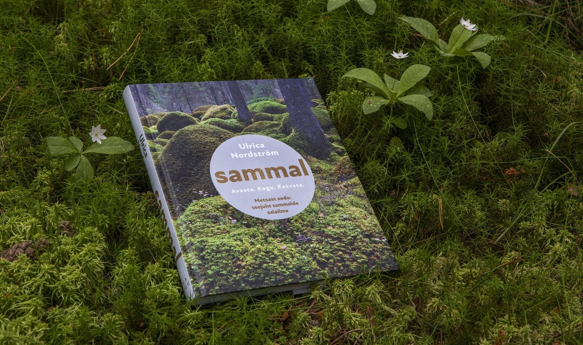 Aedniku öökapiraamat. Ulrica Nordström „Sammal“.