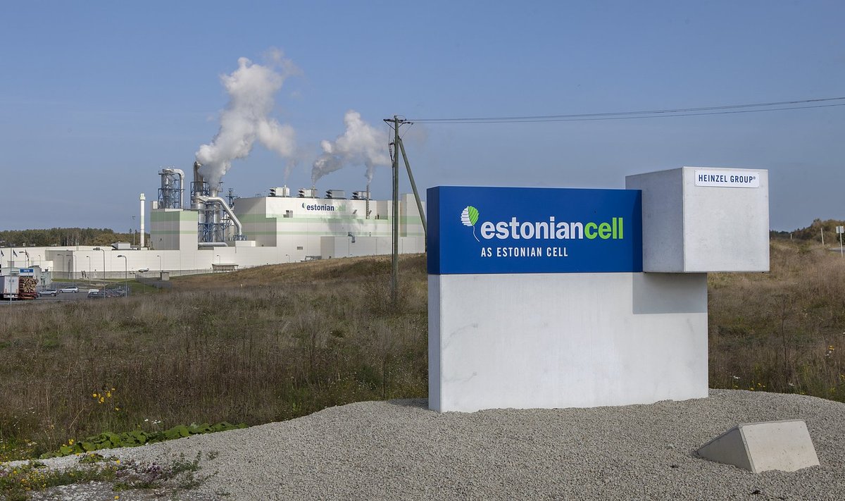 AS Estonian Cell sai lekkivast heitveetorust teada aasta lõpus ning asus kohe tegutsema, et olukord kaardistada. Praegu teadaoleva põhjal on heitvesi poolteist aastat jooksnud merre vales kohas.