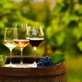 1 мая по всей Эстонии пройдет большой винный фестиваль