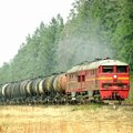 Lugeja: tahate Rail Balticu kohta tasuta eksperthinnangut? Lahendus on imelihtne!