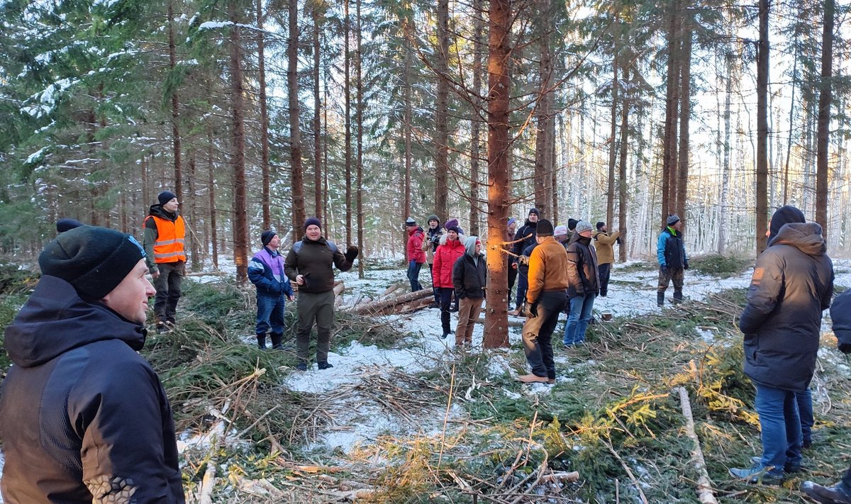 Rakvere Metsaühistu talvine õppepäev. Keskel jagab selgitusi harvendusraie kohta Meelis Matkamäe.