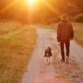 Koer tagab omanikule pikema eluea