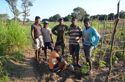 Sri Lanka farmerid, kes teevad hommikust õhtuni rasket põlluharimistööd ja valvavad terve öö oma taimi ja vilju elevantide eest. 