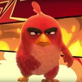 Vihased linnud 3Ds: täna tuli välja uus ja sootuks erinev Angry Birdsi mäng