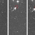FOTOD | Pilvelõhkuja suurune Maa-lähedane asteroid Eesti öötaevas