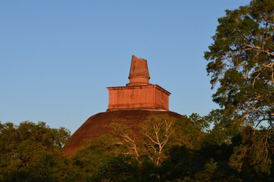 Abhayagiri Dagoba on Anuradhapuras paiknev kolossaalne stuupa, mis oli algupäraselt üle 100 m kõrge ja seega ka üks suurim konstruktsioon antiikmaailmas. Tänapäeval ulatub ta metsapiirist umbes 75 meetrit kõrgemale. 