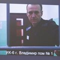Навальному назначили год содержания в едином помещении камерного типа. Что это значит?