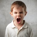 Kuidas tulla toime lapse vihaga?
