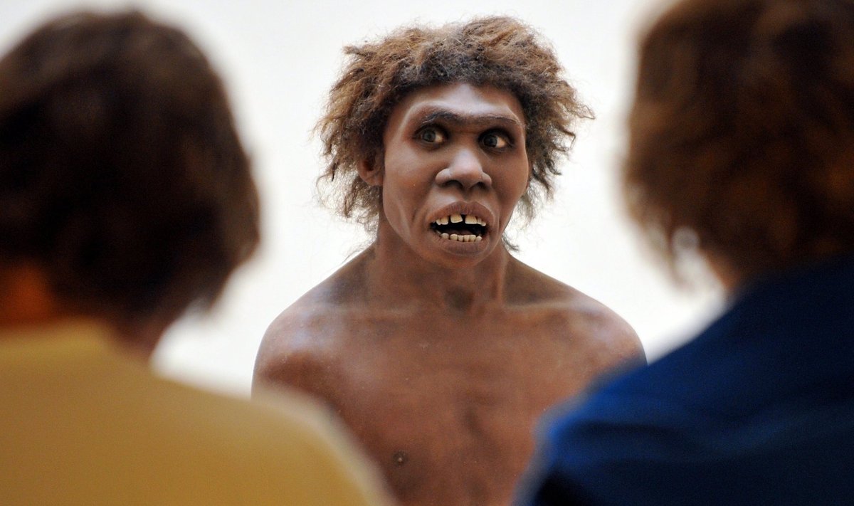 Viimased uuringud näitavad, et muusa puudutas ka neandertallasi.